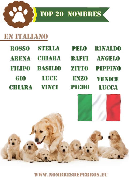 Italiaanse hondennamen